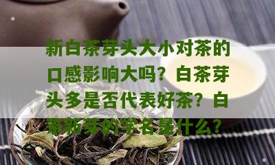 新白茶芽头大小对茶的口感影响大吗？白茶芽头多是否代表好茶？白茶新芽的学名是什么？