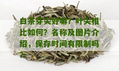 白茶芽尖好嘛？叶尖相比如何？名称及图片介绍，保存时间有限制吗？