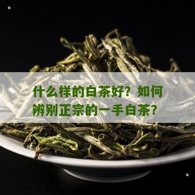 什么样的白茶好？如何辨别正宗的一手白茶？