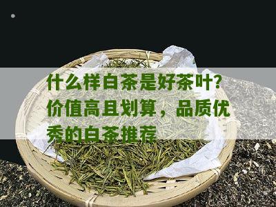 什么样白茶是好茶叶？价值高且划算，品质优秀的白茶推荐