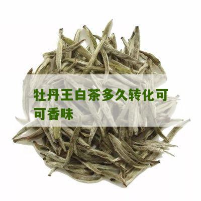 牡丹王白茶多久转化可可香味