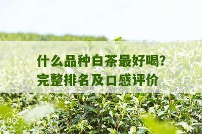 什么品种白茶最好喝？完整排名及口感评价