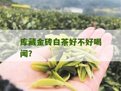 库藏金砖白茶好不好喝闻？