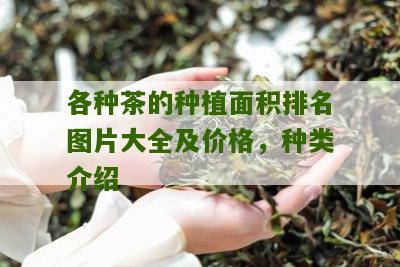 各种茶的种植面积排名图片大全及价格，种类介绍