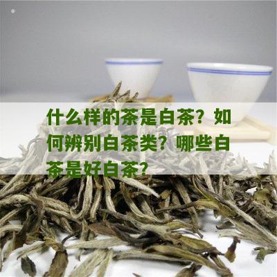 什么样的茶是白茶？如何辨别白茶类？哪些白茶是好白茶？