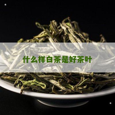 什么样白茶是好茶叶