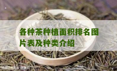 各种茶种植面积排名图片表及种类介绍