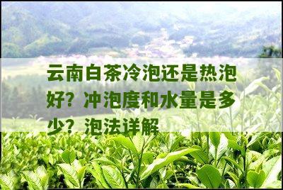 云南白茶冷泡还是热泡好？冲泡度和水量是多少？泡法详解