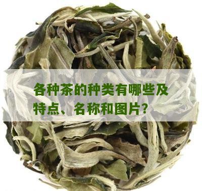 各种茶的种类有哪些及特点、名称和图片？