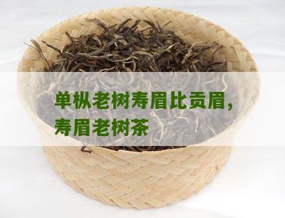 单枞老树寿眉比贡眉,寿眉老树茶