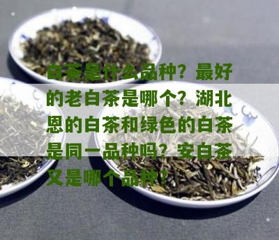 白茶是什么品种？最好的老白茶是哪个？湖北恩的白茶和绿色的白茶是同一品种吗？安白茶又是哪个品种？