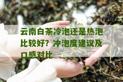 云南白茶冷泡还是热泡比较好？冲泡度建议及口感对比