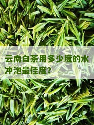 云南白茶用多少度的水冲泡最佳度？