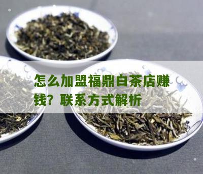 怎么加盟福鼎白茶店赚钱？联系方式解析