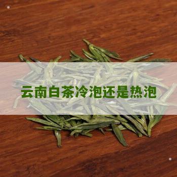 云南白茶冷泡还是热泡