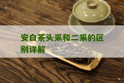 安白茶头采和二采的区别详解