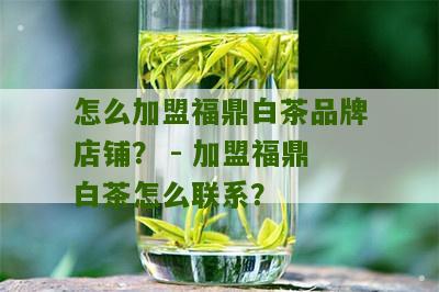 怎么加盟福鼎白茶品牌店铺？ - 加盟福鼎白茶怎么联系？