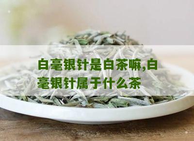 白毫银针是白茶嘛,白毫银针属于什么茶