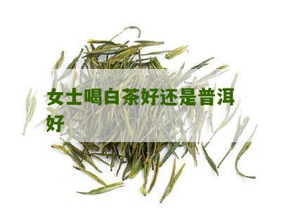 女士喝白茶好还是普洱好