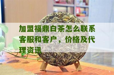 加盟福鼎白茶怎么联系客服和客户，价格及代理资讯