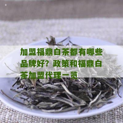 加盟福鼎白茶都有哪些品牌好？政策和福鼎白茶加盟代理一览