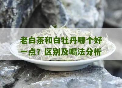 老白茶和白牡丹哪个好一点？区别及喝法分析