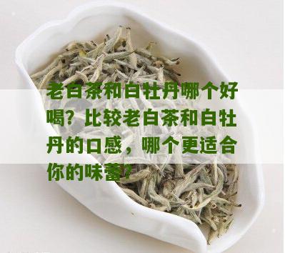 老白茶和白牡丹哪个好喝？比较老白茶和白牡丹的口感，哪个更适合你的味蕾？