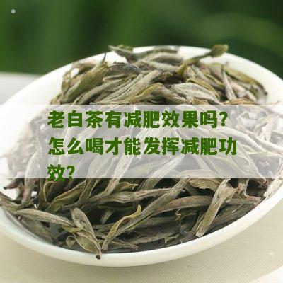 老白茶有减肥效果吗？怎么喝才能发挥减肥功效？