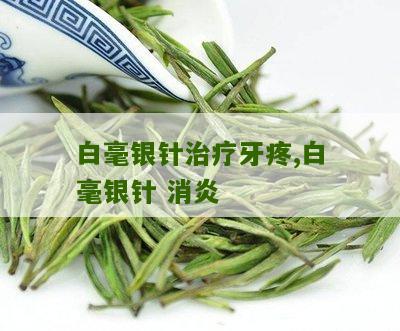 白毫银针治疗牙疼,白毫银针 消炎