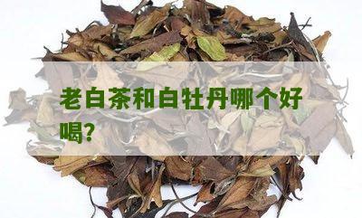 老白茶和白牡丹哪个好喝？