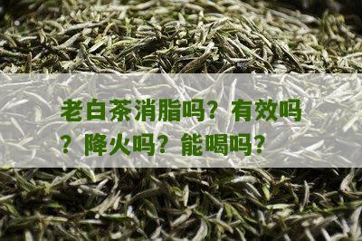 老白茶消脂吗？有效吗？降火吗？能喝吗？