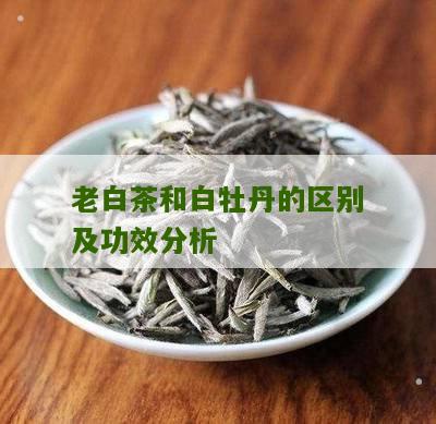 老白茶和白牡丹的区别及功效分析