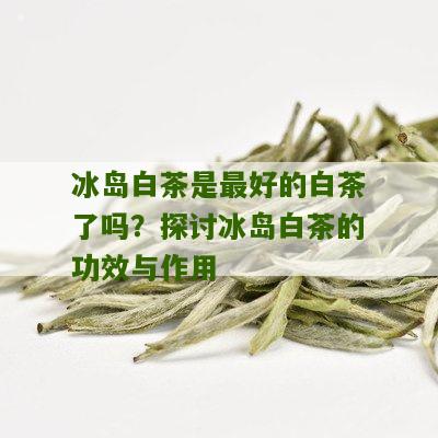 冰岛白茶是最好的白茶了吗？探讨冰岛白茶的功效与作用