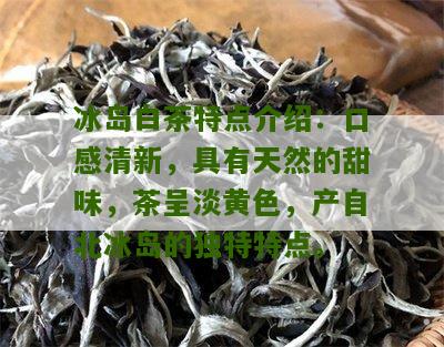 冰岛白茶特点介绍：口感清新，具有天然的甜味，茶呈淡黄色，产自北冰岛的独特特点。