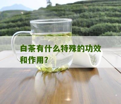 白茶有什么特殊的功效和作用？