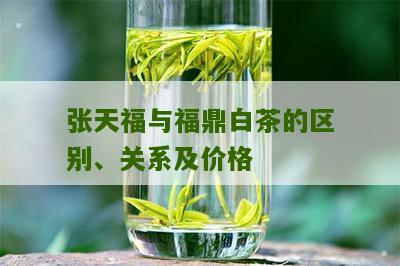 张天福与福鼎白茶的区别、关系及价格