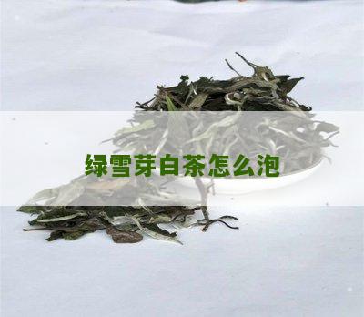 绿雪芽白茶怎么泡