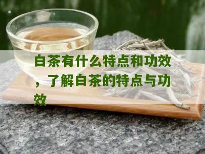 白茶有什么特点和功效，了解白茶的特点与功效