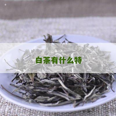 白茶有什么特