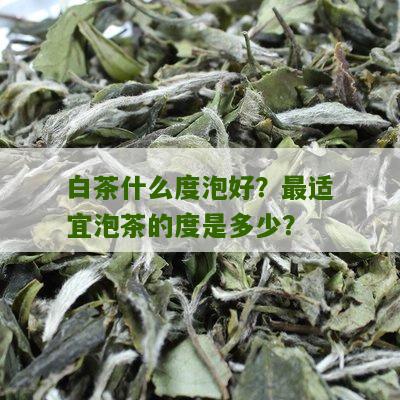 白茶什么度泡好？最适宜泡茶的度是多少？