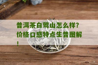 普洱茶白莺山怎么样？价格口感特点生普图解！