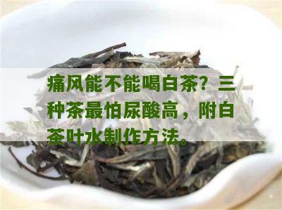 痛风能不能喝白茶？三种茶最怕尿酸高，附白茶叶水制作方法。