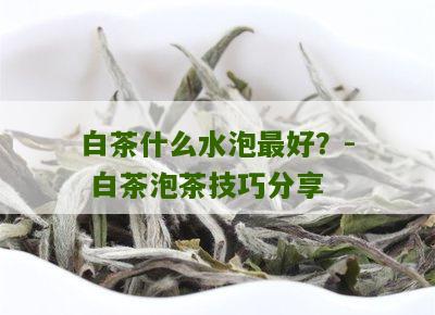 白茶什么水泡最好？- 白茶泡茶技巧分享