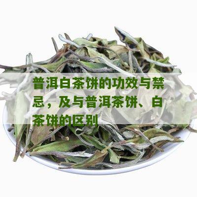 普洱白茶饼的功效与禁忌，及与普洱茶饼、白茶饼的区别