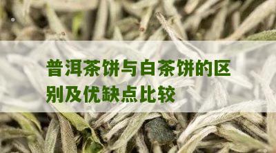 普洱茶饼与白茶饼的区别及优缺点比较