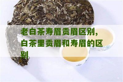 老白茶寿眉贡眉区别,白茶里贡眉和寿眉的区别