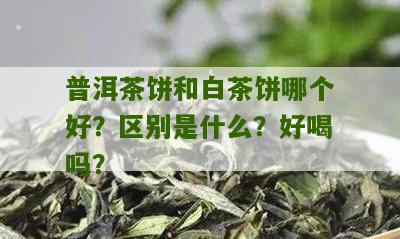 普洱茶饼和白茶饼哪个好？区别是什么？好喝吗？