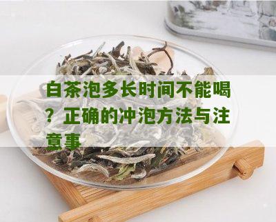 白茶泡多长时间不能喝？正确的冲泡方法与注意事