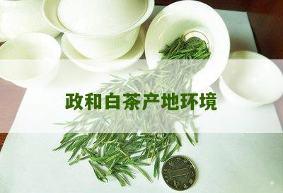 政和白茶产地环境