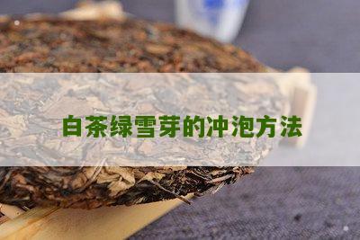 白茶绿雪芽的冲泡方法